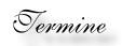 Termine